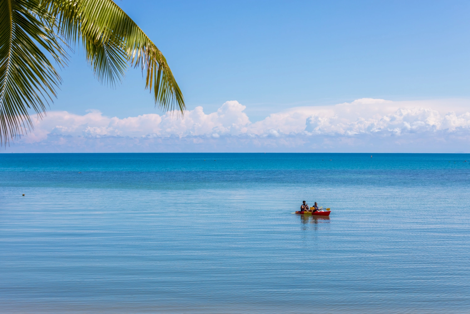 Watersport Activities